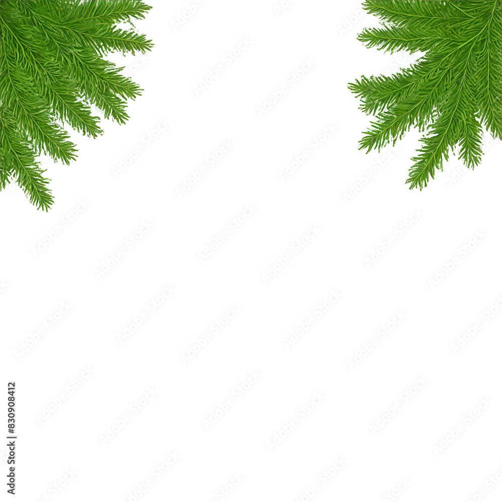 Green plants and leaves isolated on transparent background, png Green plants and leaves isolated on transparent background, png