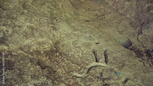 Wallpaper Mural Petroglyphs Inside The Deaf Stones Niche In Haskovo Region, Bulgaria. closeup, tilt-down shot Torontodigital.ca