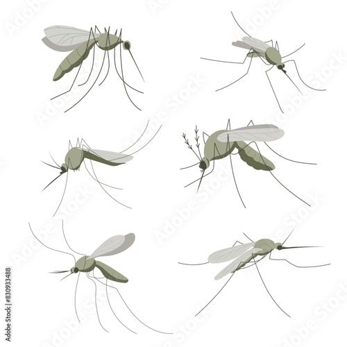 Set of mosquitoes. Small mosquito insect. Illustration in flat, simple, cartoon style