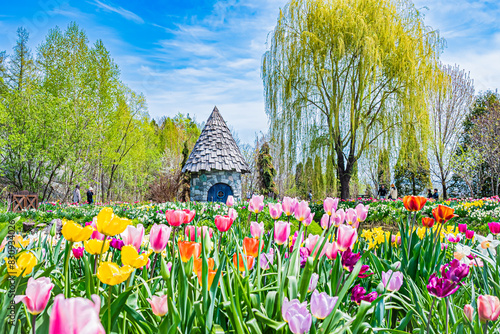 北海道　春の上野ファームの風景