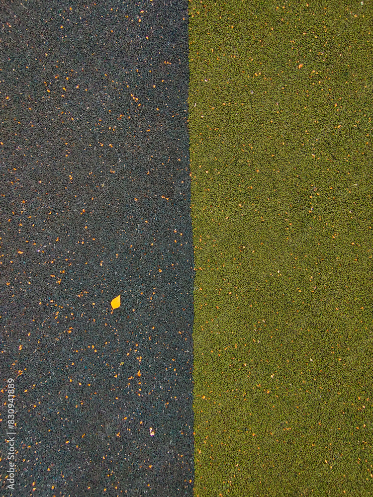 Gray and green resilient coating for sports and athletic fields, cycling paths. Polluted with foliage in autumn Gray and green resilient coating for sports and athletic fields, cycling paths. Polluted with foliage in autumn