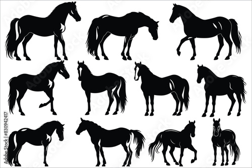 Set of horse silhouette, Horses silhouettes, Silhouette of a running horse, Big set of horses silhouettes, Race horses silhouettes set, Horse, Running, Run, Animal, Jumping, Race, Champion, Succeed