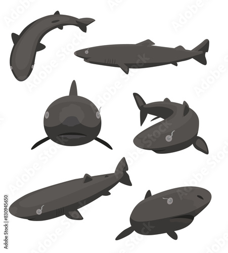Cute Greenland Shark Poses Set Cartoon Vector