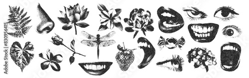 Mouth in scream, crazy eyes, flowers, dragonfly with retro photocopy stipple effect, for grunge punk y2k collage design. Vector illustration in vintage halftone brutalist design for banner or poster