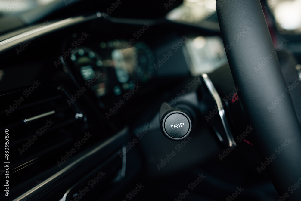 button Trip near the steering wheel button Trip near the steering wheel