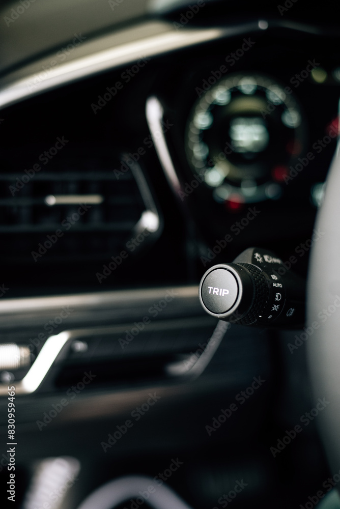 button Trip near the steering wheel button Trip near the steering wheel