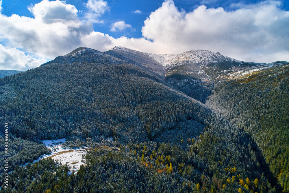 Naklejka premium First snow fell on autumn forest, cold storm under yellow foliage.