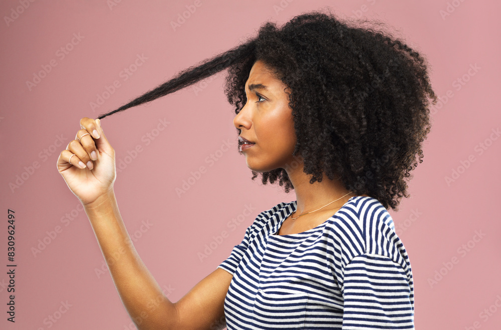 Obraz premium Pulling hair, woman and stress with dermatology, growth and person on pink studio background. African person, model and girl with aesthetic, texture and beauty with shampoo, angry and frustrated