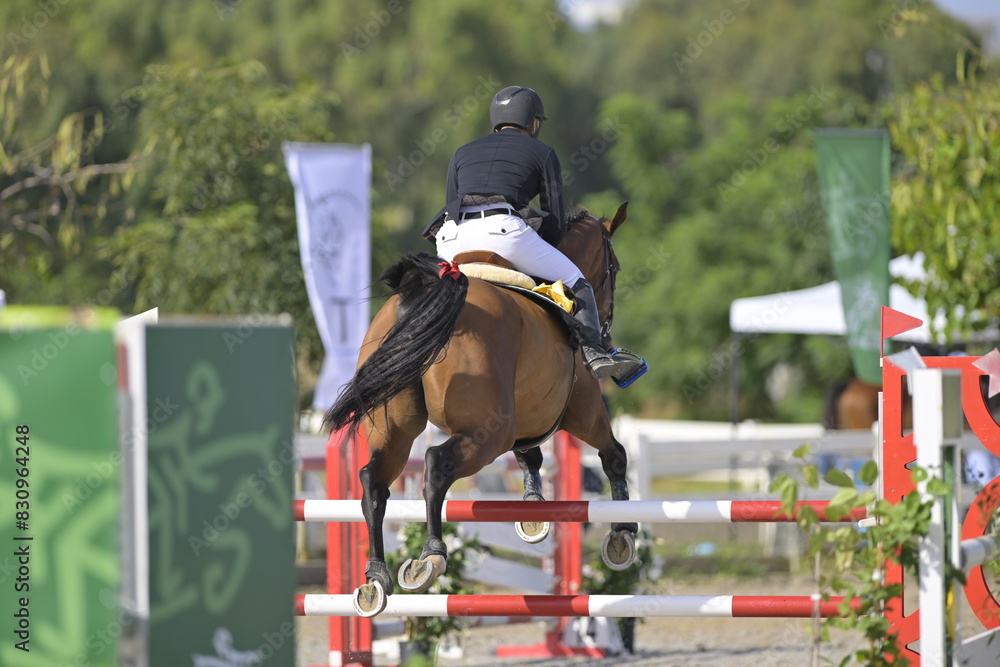 The rider on horse jumping over a hurdle during the equestrian The rider on horse jumping over a hurdle during the equestrian