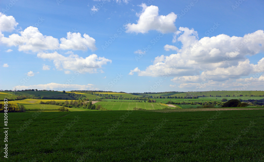 landscape of the south downs, green fields and blue sky with clouds