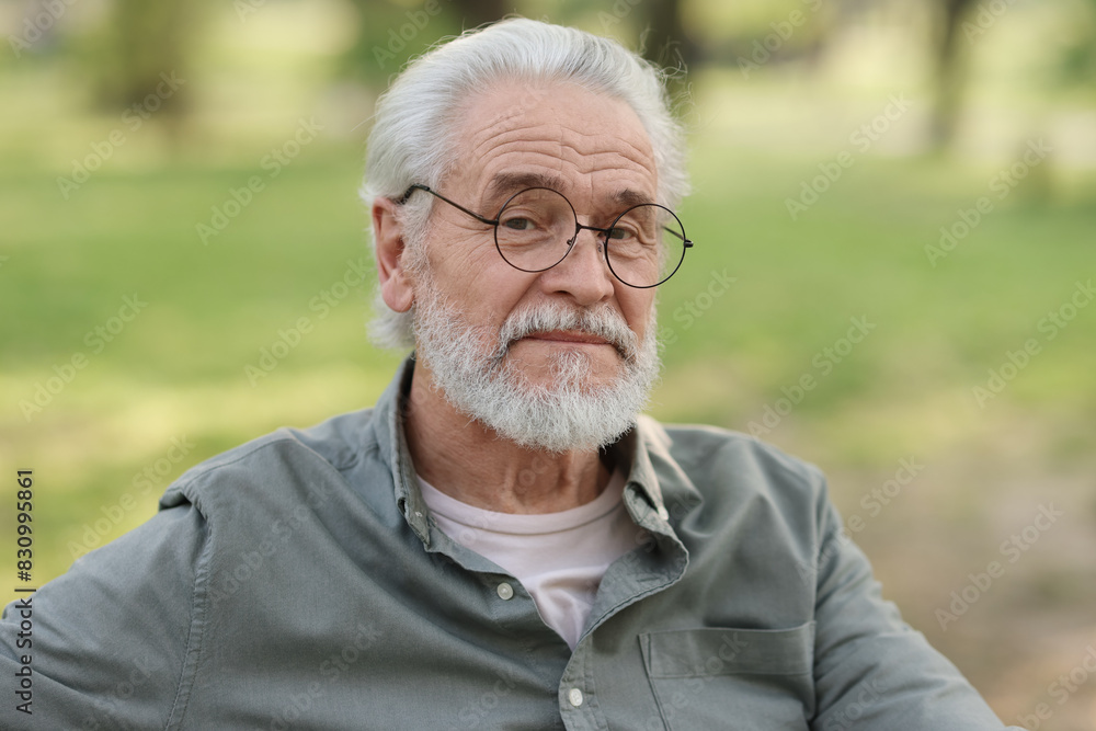 Portrait of happy grandpa with glasses in park Portrait of happy grandpa with glasses in park