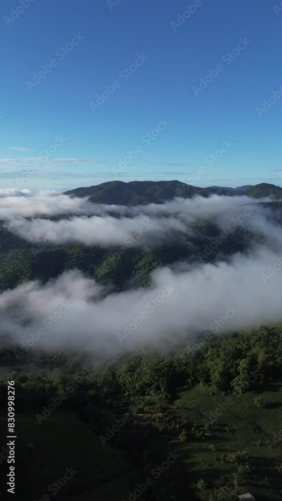 Vertical 4k high-angle landscape flying on mountains with layered fog. On a day when the sky is clear in the morning, You can see the perfect green forest. Vertical 4k high-angle landscape flying on mountains with layered fog. On a day when the sky is clear in the morning, You can see the perfect green forest.
