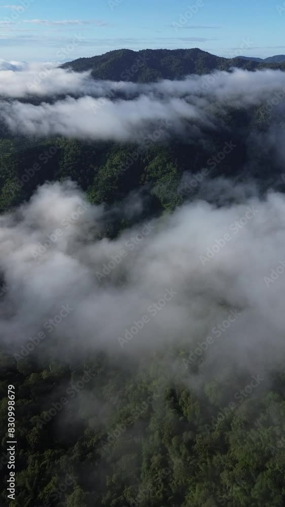 Vertical 4k high-angle landscape flying on mountains with layered fog. On a day when the sky is clear in the morning, You can see the perfect green forest. Vertical 4k high-angle landscape flying on mountains with layered fog. On a day when the sky is clear in the morning, You can see the perfect green forest.
