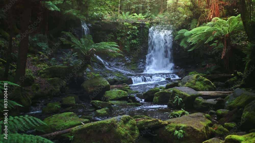 Australia nature. Waterfall in jungle forest of Tasmania. Fresh water flow Australia nature. Waterfall in jungle forest of Tasmania. Fresh water flow