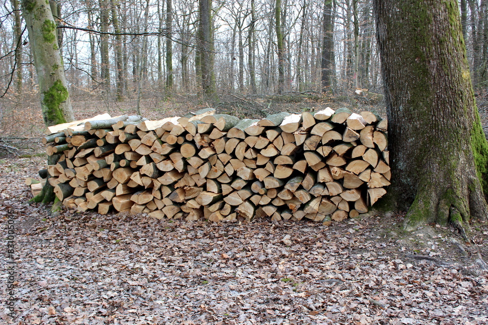 Holz, Struktur, Holzstruktur, Hintergrund, Texture Holz, Struktur, Holzstruktur, Hintergrund, Texture