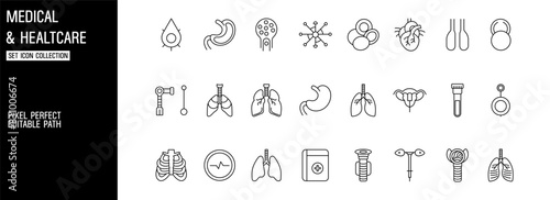 set Human Organ Anatomy lung Vector Icons for Medical and Educational symbol