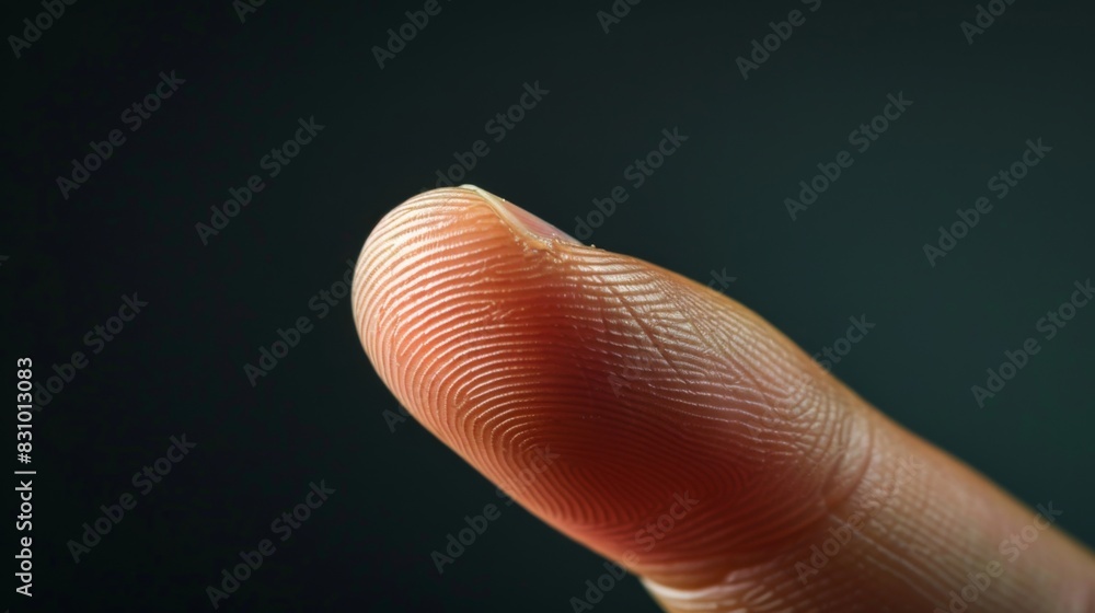 Fingerprins Ridges Finger with friction ridges on dark background, macro view Stock ...