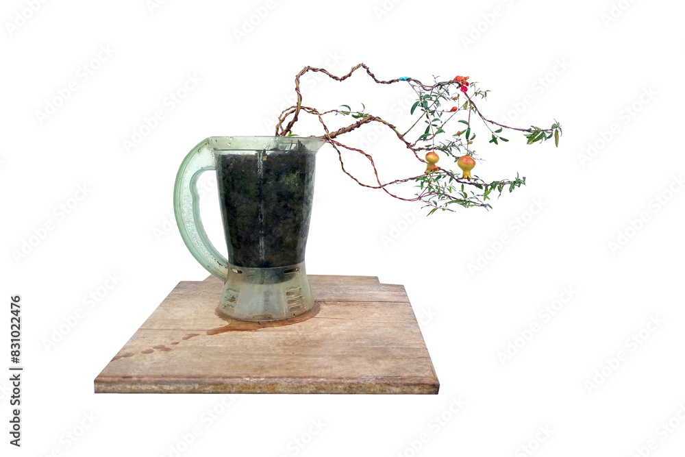 Fototapeta premium Unripe Pomegranate.Pomegranate tree in unused container pot.