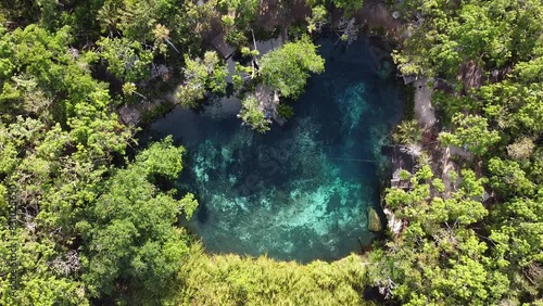 Cenote paradise’s heart in the middle of the nature in Tulum, Mexico. Romantic concept in the middle of the nature. Clear water so you can see the depth. Empty cenote , no a single person on it