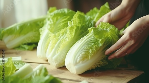 Chinese cabbage with woman hand prepare for cooking, Organic vegetables.