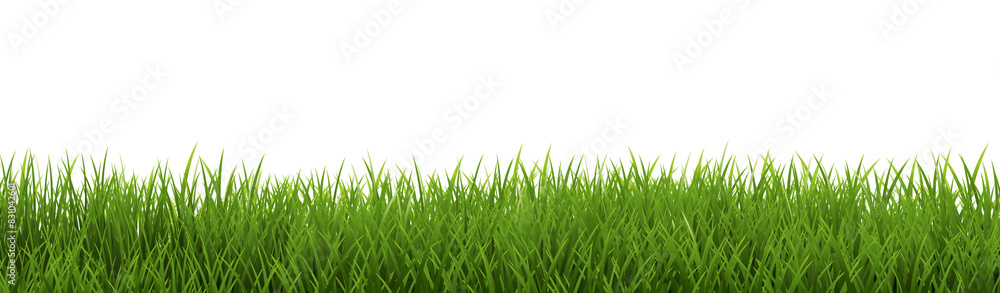Obraz premium green grass background