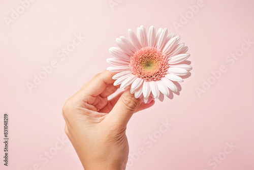 Pink Flower Held in Hand on Pink Background