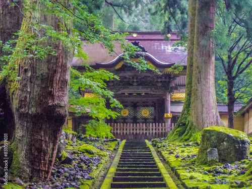 Obraz na płótnie 【福井県】永平寺の唐門