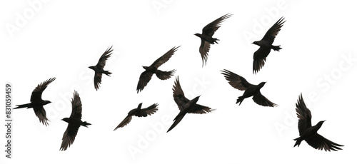 PNG  Flying birds animal flock white. AI generated Image by rawpixel.