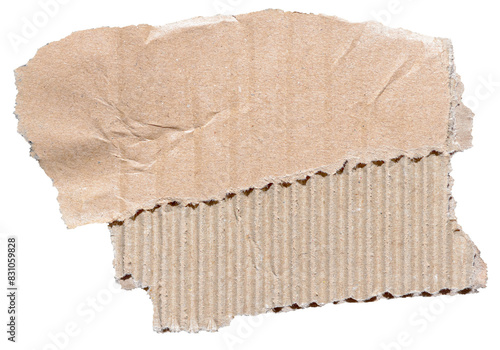 Piece of ripped brown corrugated cardboard paper with details and texture, copy space for text, transparent png background design element