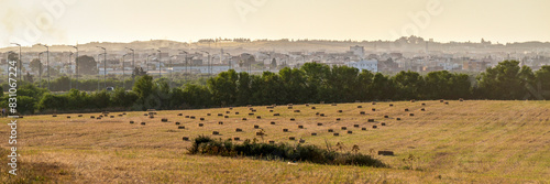 Obraz na plátně Les meules de foin