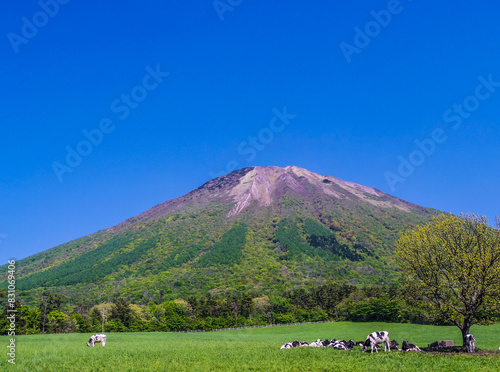 Wallpaper Mural 【鳥取県】大山町・大山 Torontodigital.ca