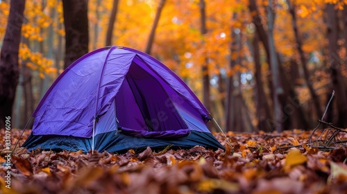 Enigmatic Purple Tent Amidst Enchanted Forest