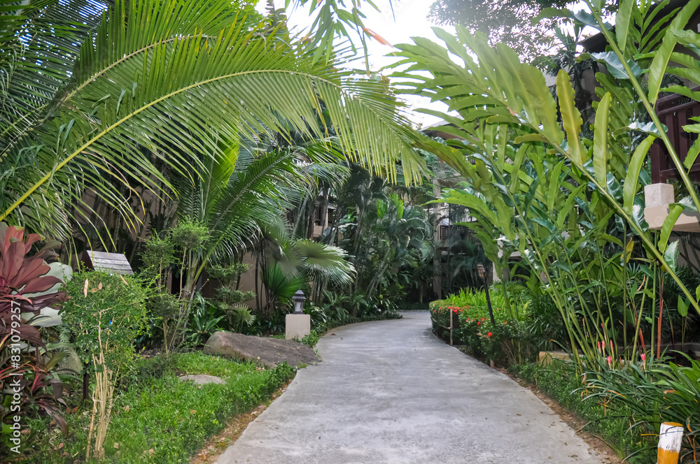 Beautiful hotel area on Phuket island in Thailand Beautiful hotel area on Phuket island in Thailand