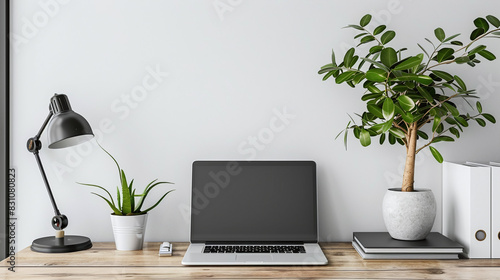 Minimalist Home Office Desk with Laptop and Plants on Wooden Table Against White Wall Background