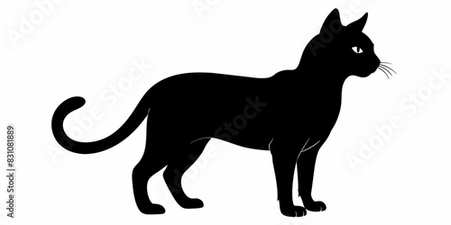 black cat silhouette