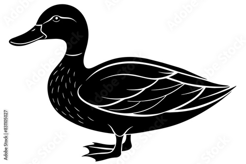 duck silhouette vector illustration