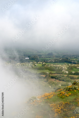 ireland bog land cloudy valley  © DreamLine