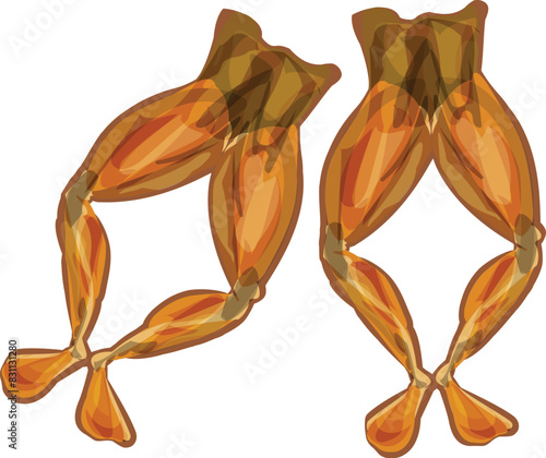 Vibrant and appetizing golden smoked salmon illustration in digital art form. Showcasing the fresh and gourmet cuisine of a healthy and delicious seafood dish. Rich in omega3 fatty acids