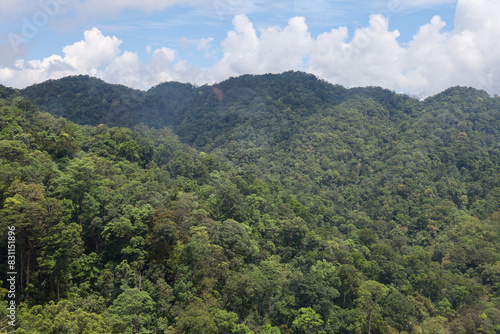 the tree mountain view before from banahill cable car