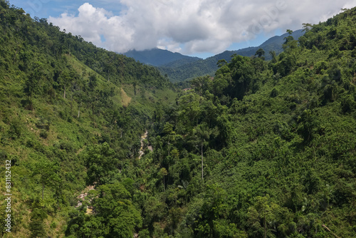 the tree mountain view before from banahill cable car