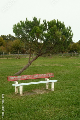 bench in the park