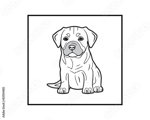 labrador retriever puppy
