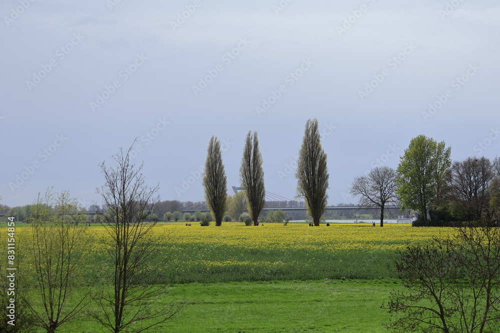 Obraz premium Idyllische Landschaft