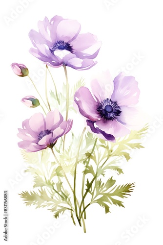 Anemone  Watercolor Floral Border  watercolor illustration  isolated on white background