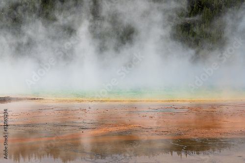 Steam rises from the colorful Grand Prismatic Spring at Yellowstone National Park in Wyoming on a sunny day, with trees, mountains, and sky in the background