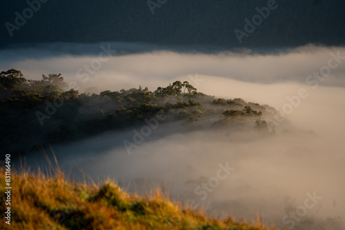 Cloudy view at Hang's Tree lookout, Strath Creek, Australia © Hu