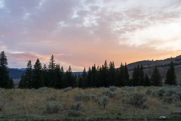Keuken achterwand Mistig bos Zonsondergang boven Lamar Valley Yellowstone  © Sitting Bear Media