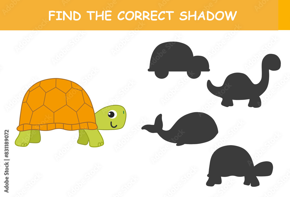 Find the correct shadow of the cute illustration of turtle. Educational ...