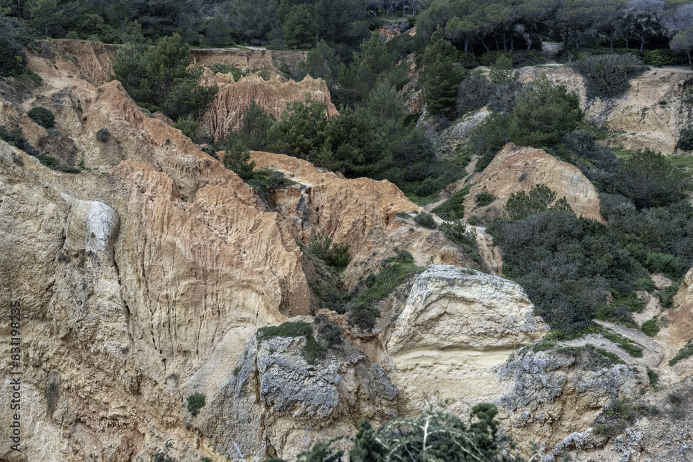 Eroded Cliffside in Lush Forest near Portimao, Portugal Eroded Cliffside in Lush Forest near Portimao, Portugal