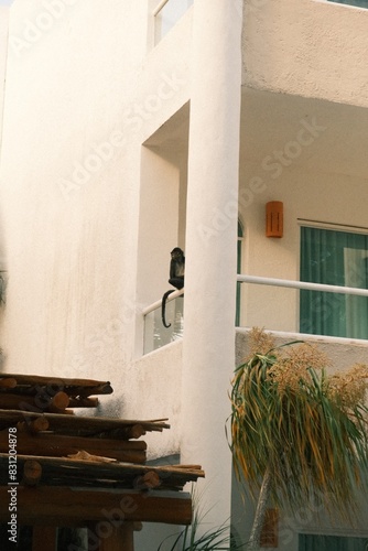 Monkey on Balcony